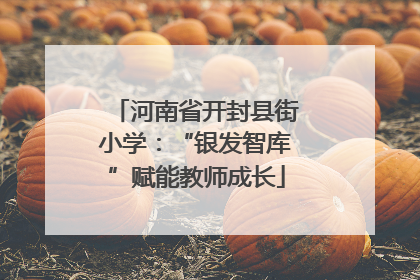 河南省开封县街小学：“银发智库”赋能教师成长