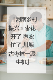 河南乡村振兴：枣花开了 枣农忙了 川塬古枣林一派生机