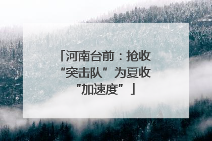 河南台前：抢收“突击队”为夏收“加速度”