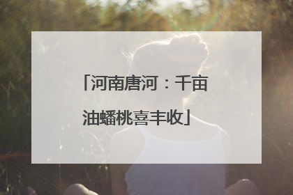 河南唐河：千亩油蟠桃喜丰收