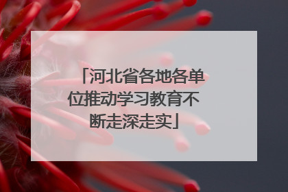 河北省各地各单位推动学习教育不断走深走实