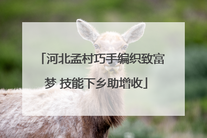 河北孟村巧手编织致富梦 技能下乡助增收