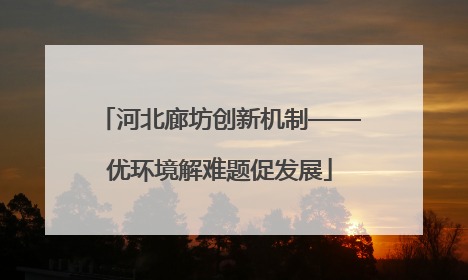 河北廊坊创新机制——优环境解难题促发展