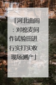 河北曲周：对棉麦间作试验田进行实打实收现场测产