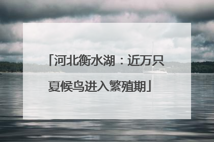河北衡水湖：近万只夏候鸟进入繁殖期