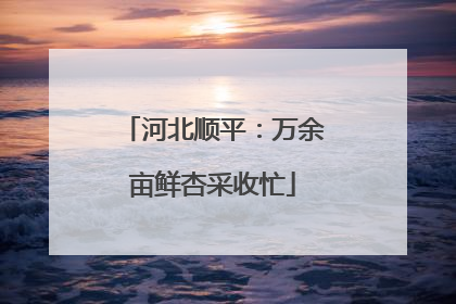 河北顺平：万余亩鲜杏采收忙