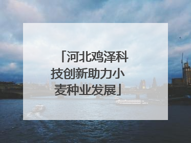 河北鸡泽科技创新助力小麦种业发展