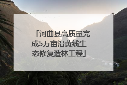 河曲县高质量完成5万亩沿黄线生态修复造林工程