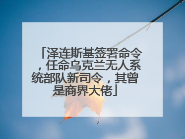 泽连斯基签署命令，任命乌克兰无人系统部队新司令，其曾是商界大佬