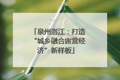 泉州洛江：打造“城乡融合露营经济”新样板