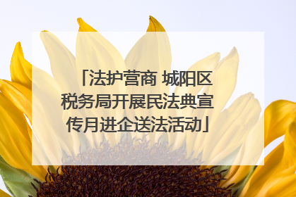 法护营商 城阳区税务局开展民法典宣传月进企送法活动