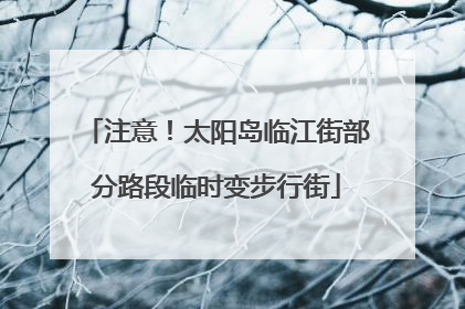 注意！太阳岛临江街部分路段临时变步行街