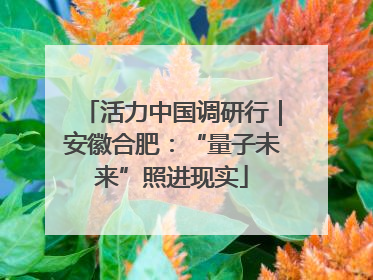 活力中国调研行｜安徽合肥：“量子未来”照进现实