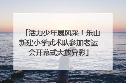 活力少年展风采！乐山新建小学武术队参加老运会开幕式大放异彩