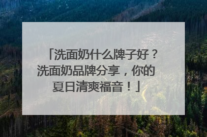 洗面奶什么牌子好？洗面奶品牌分享，你的夏日清爽福音！