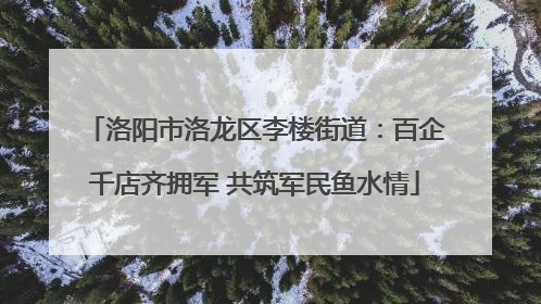洛阳市洛龙区李楼街道：百企千店齐拥军 共筑军民鱼水情