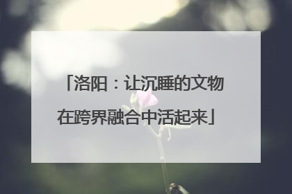 洛阳：让沉睡的文物在跨界融合中活起来
