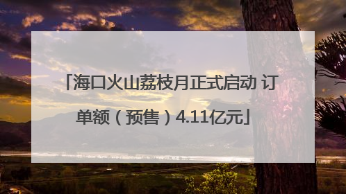 海口火山荔枝月正式启动 订单额（预售）4.11亿元