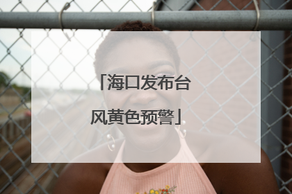 海口发布台风黄色预警