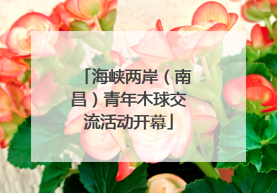海峡两岸（南昌）青年木球交流活动开幕