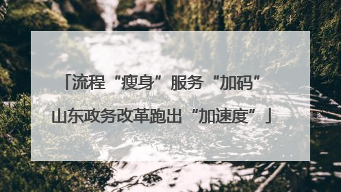 流程“瘦身”服务“加码” 山东政务改革跑出“加速度”