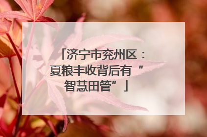 济宁市兖州区：夏粮丰收背后有“智慧田管”