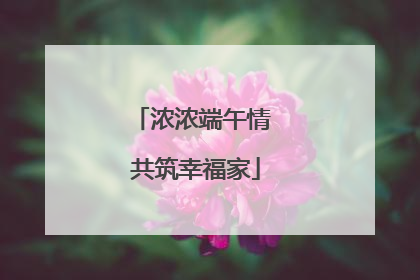 浓浓端午情 共筑幸福家