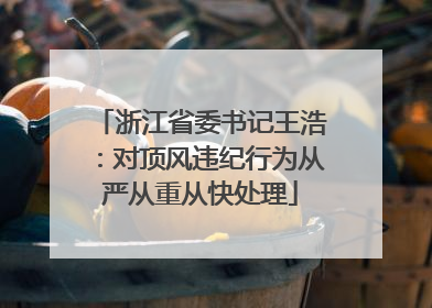 浙江省委书记王浩：对顶风违纪行为从严从重从快处理