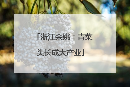 浙江余姚：青菜头长成大产业