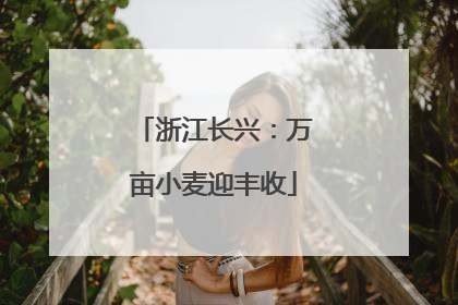浙江长兴：万亩小麦迎丰收
