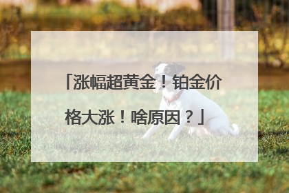 涨幅超黄金！铂金价格大涨！啥原因？