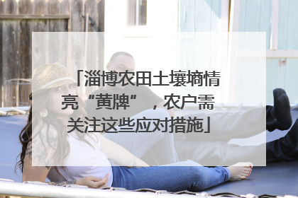 淄博农田土壤墒情亮“黄牌”，农户需关注这些应对措施