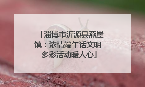 淄博市沂源县燕崖镇：浓情端午话文明 多彩活动暖人心