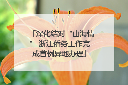 深化结对“山海情” 浙江侨务工作完成首例异地办理