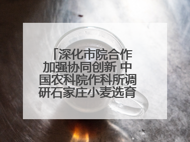 深化市院合作 加强协同创新 中国农科院作科所调研石家庄小麦选育种等工作