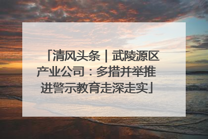 清风头条｜武陵源区产业公司：多措并举推进警示教育走深走实