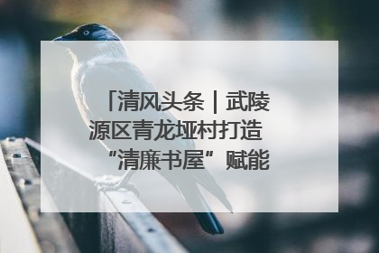 清风头条｜武陵源区青龙垭村打造“清廉书屋”赋能乡村振兴新风尚