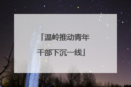 温岭推动青年干部下沉一线