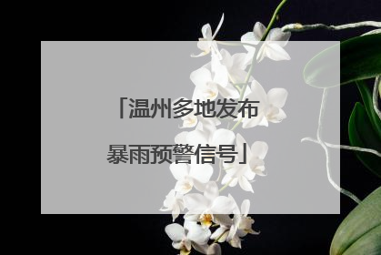 温州多地发布暴雨预警信号