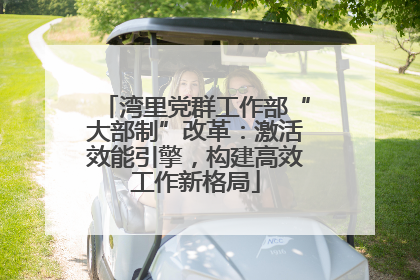 湾里党群工作部“大部制”改革：激活效能引擎，构建高效工作新格局