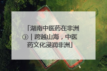湖南中医药在非洲③｜跨越山海，中医药文化浸润非洲