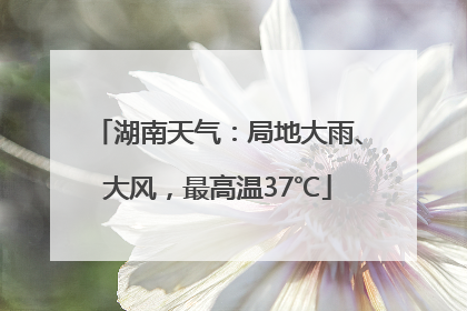 湖南天气：局地大雨、大风，最高温37℃