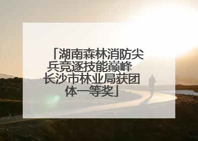 湖南森林消防尖兵竞逐技能巅峰 长沙市林业局获团体一等奖