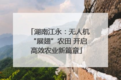 湖南江永：无人机“展翅”农田 开启高效农业新篇章