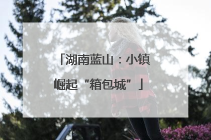 湖南蓝山：小镇崛起“箱包城”