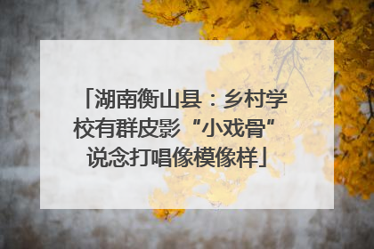 湖南衡山县：乡村学校有群皮影“小戏骨” 说念打唱像模像样