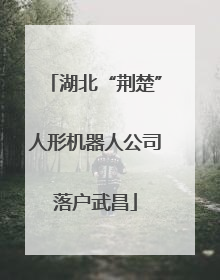 湖北“荆楚”人形机器人公司落户武昌