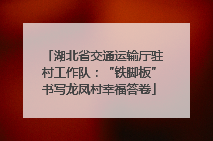 湖北省交通运输厅驻村工作队：“铁脚板”书写龙凤村幸福答卷
