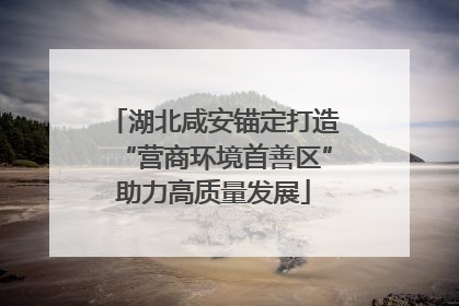 湖北咸安锚定打造“营商环境首善区”助力高质量发展