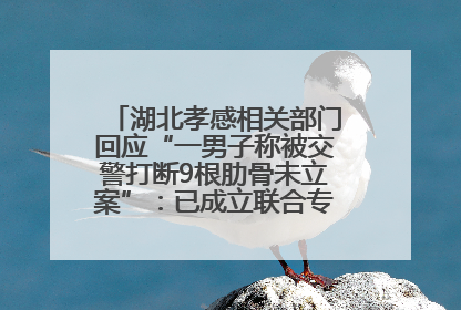 湖北孝感相关部门回应“一男子称被交警打断9根肋骨未立案”：已成立联合专班开展工作